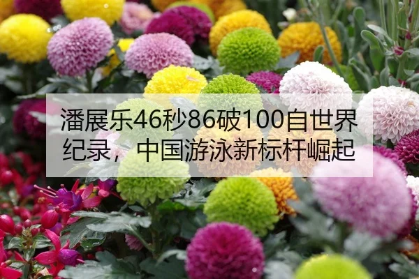 pan-zhan-le-miao-po-zi-shi-jie-ji-lu-zhong-guo-you-yong-xin-biao-gan-jue-qi-1-452.jpg